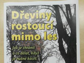 Dřeviny rostoucí mimo les