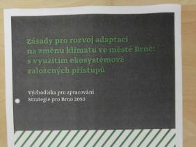 Zásady pro rozvoj adaptací na změnu klimatu ve městě Brně s využitím ekosystémově založených přístupů