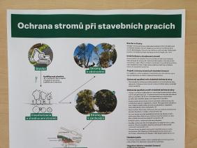 Ochrana stromů při stavebních pracích