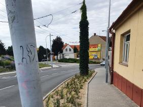 Trvalkové záhony u silnice na ul. Chaloupky, Vavřinecká (2022)