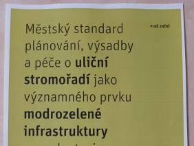 Městský standard plánování, výsadby a péče o uliční stromořadí jako významného prvku modrozelené infrastruktury pro adaptaci na změnu klimatu