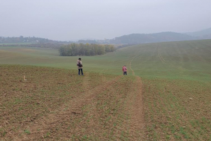 Vytyčená polní cesta