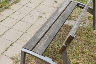 Ulrychova psí výběh před opravou