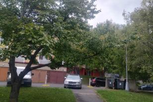 Stav před realizací