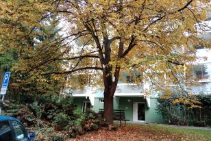 Stav před realizací